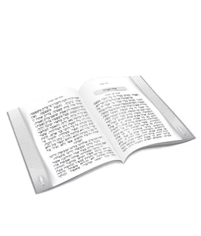 Yizkereim Tefillos at the cemetery