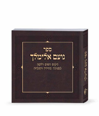 No’am Elimelech Faux leather Brown