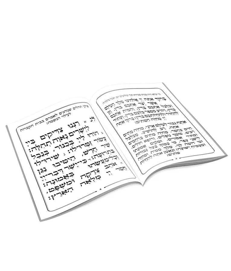 Tefillos at the cemetery - Image 3