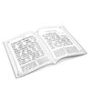 Silver Megillah with Perush Rashi - Image 2