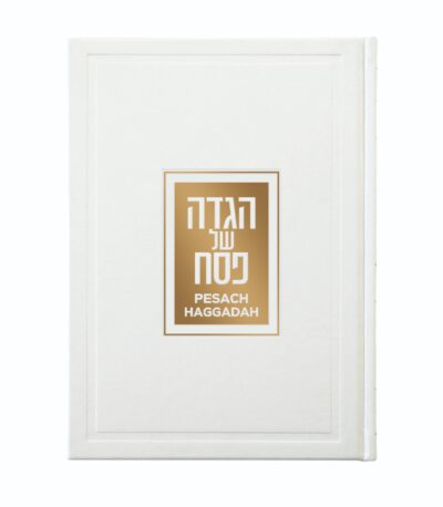 Luxurious English/Hebrew Haggadah