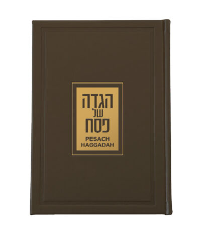 Luxurious English/Hebrew Haggadah