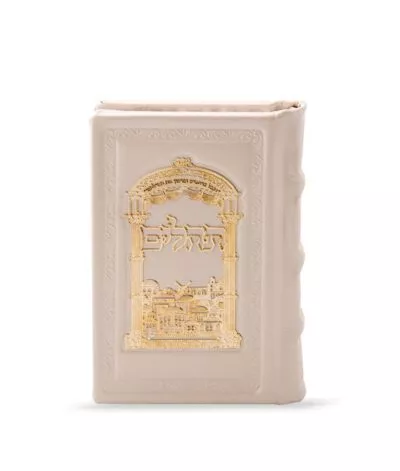 Small Leather Tehillim with gold plague